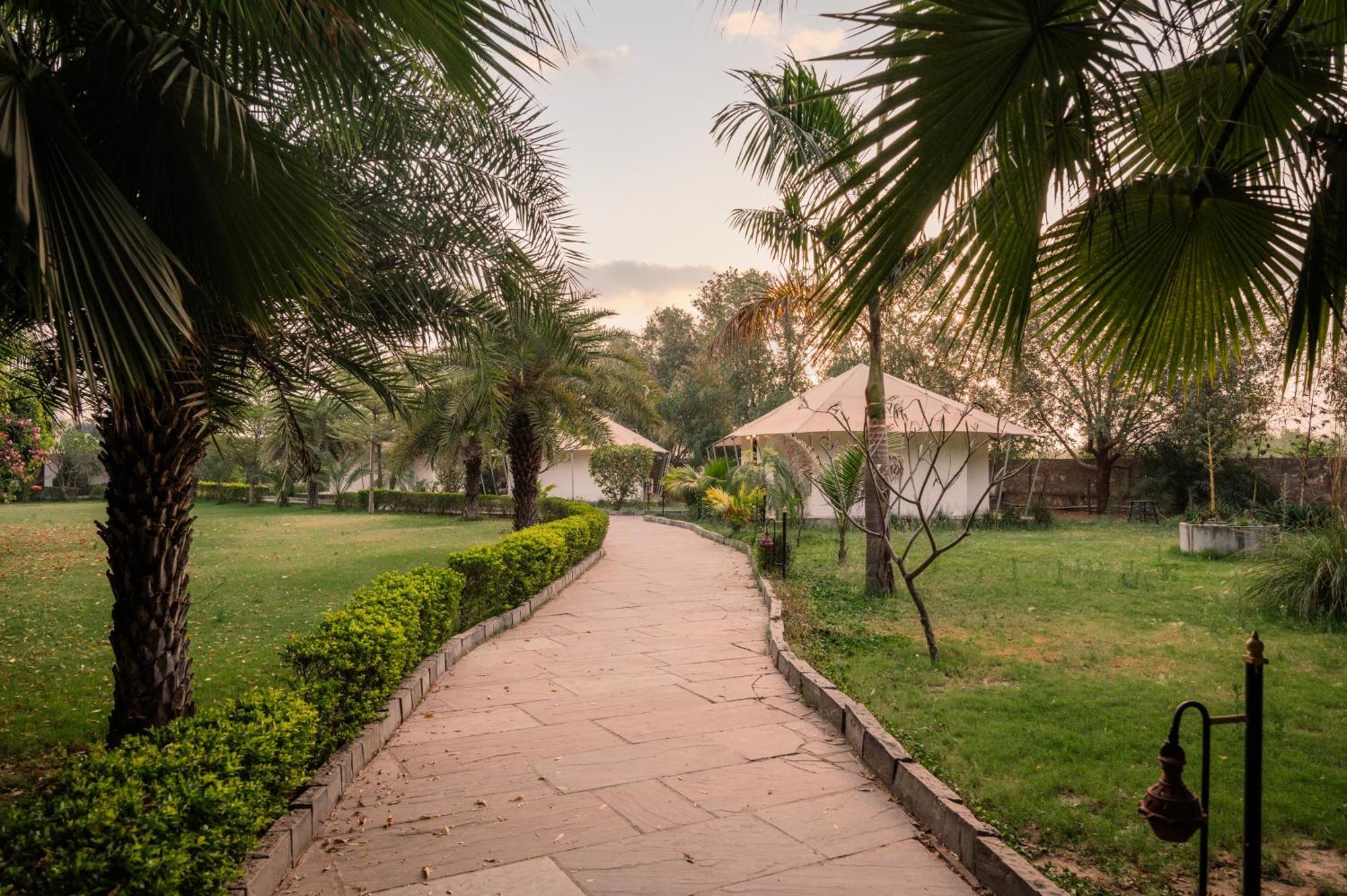 Clarks Safari Ranthambore Khilchipur  Экстерьер фото